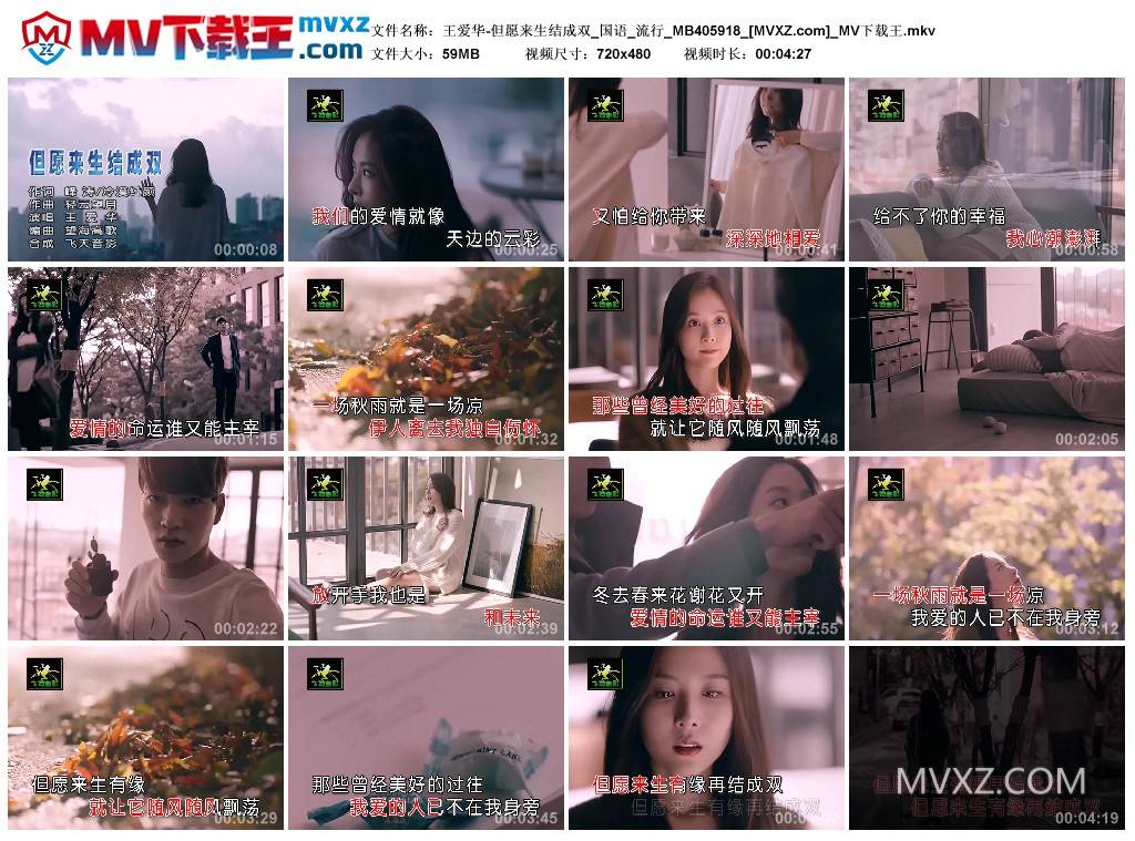 王爱华-但愿来生结成双_国语_流行_MB405918